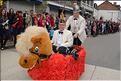 Carnaval-2014 (96)