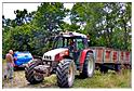 chesle_2015 (35)