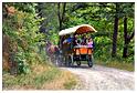 chesle_2015 (36)