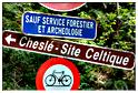 chesle_2015 (46)