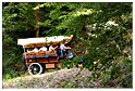 chesle_2015 (48)