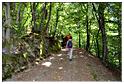 chesle_2015 (51)