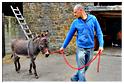 cielle_chasse_aux_oeufs_2014 (6)