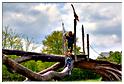 cielle_chasse_aux_oeufs_2014 (11)