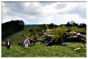 cielle_chasse_aux_oeufs_2014 (14)