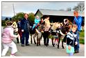 cielle_chasse_aux_oeufs_2014 (88)
