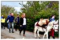 cielle_chasse_aux_oeufs_2014 (92)