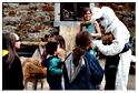 cielle_chasse_aux_oeufs_2014 (132)