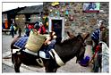 cielle_chasse_aux_oeufs_2014 (135)