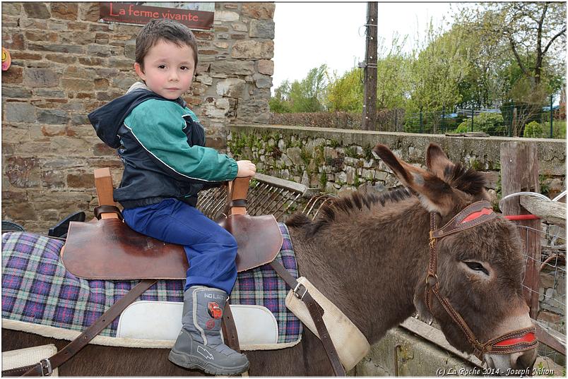 cielle_chasse_aux_oeufs_2014 (138)