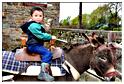 cielle_chasse_aux_oeufs_2014 (138)