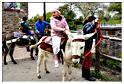 cielle_chasse_aux_oeufs_2014 (140)