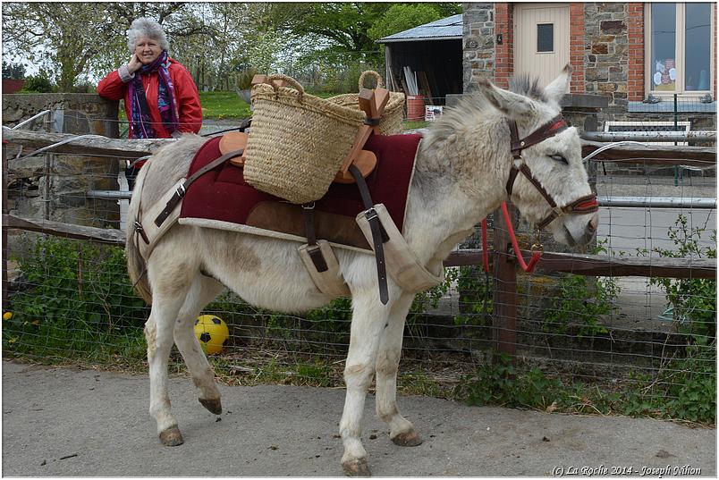 cielle_chasse_aux_oeufs_2014 (17)