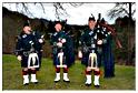 commemorations_150111 (176)