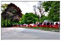 course_cote_2011 (86)