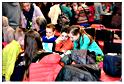 diner_ecole_musique_2015 (29)
