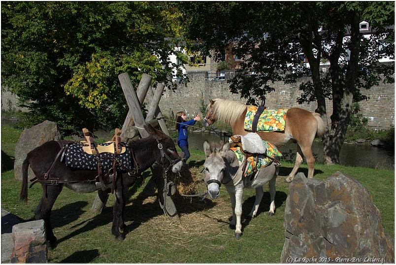 festival_soupe_2015 (56)