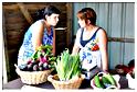 fete_berismenil_2013 (10)