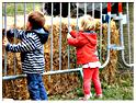 fete_berismenil_2015 (48)