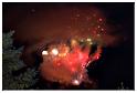 feu_artifice_2013 (103)