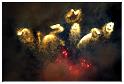 feu_artifice_2013 (115)