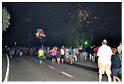 feu_artifice_2013 (135)