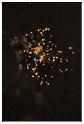 final_fantome_2012 (52)