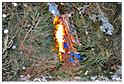 grand_feu_LR_2013 (26)