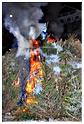 grand_feu_LR_2013 (62)