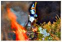 grand_feu_LR_2013 (75)