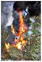 grand_feu_LR_2013 (78)