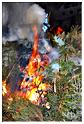 grand_feu_LR_2013 (80)