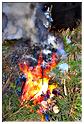 grand_feu_LR_2013 (89)