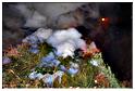 grand_feu_LR_2013 (96)