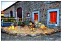 halloween_cielle_2014 (43)