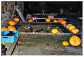 halloween_cielle_2014 (73)