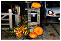 halloween_cielle_2014 (80)