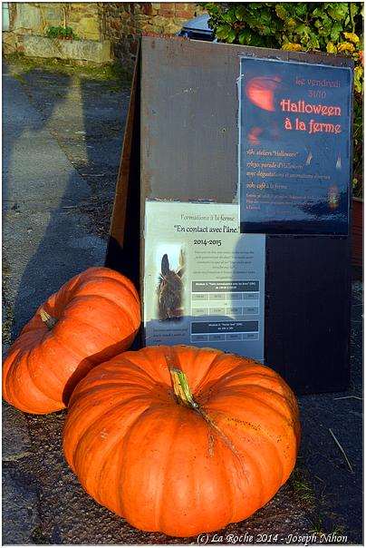 halloween_cielle_2014 (1)