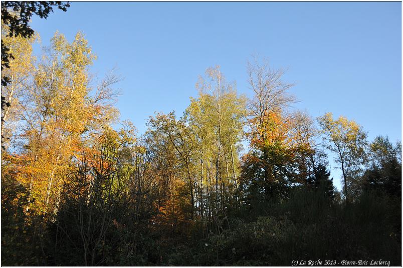 halloween_hubermont_2013 (41)
