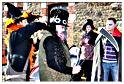 halloween_lavaux_2011 (16)