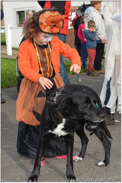 halloween_ortho_2014 (14)