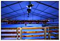 inauguration_patinoire_2013 (65)
