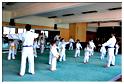 jujitsu (2)
