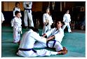 jujitsu (3)