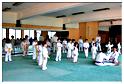 jujitsu (4)