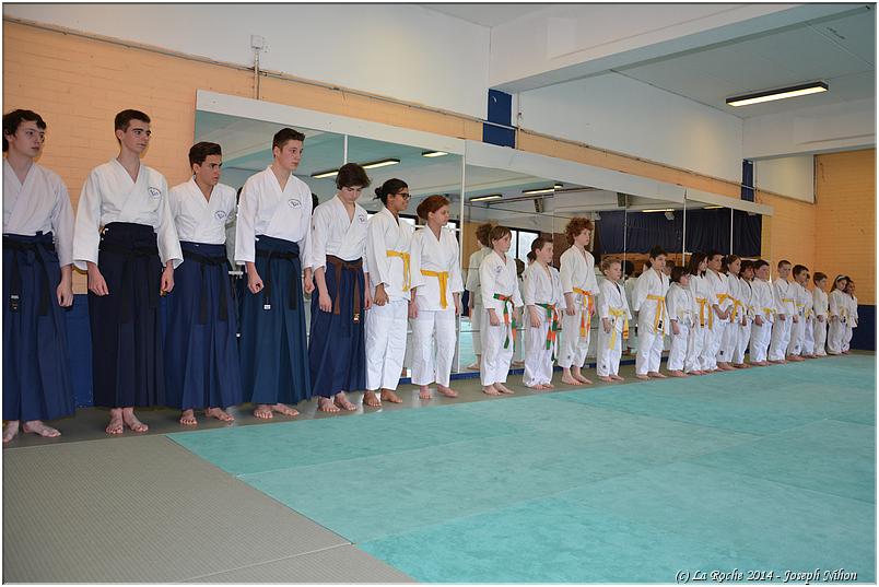 jujitsu (23)