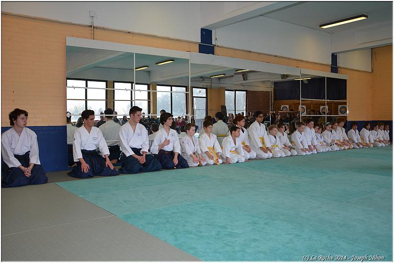 jujitsu (31)