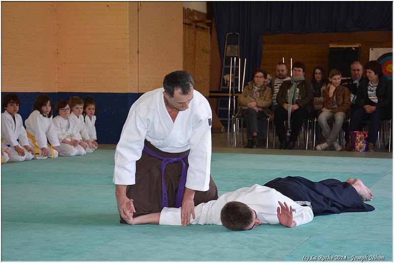 jujitsu (32)