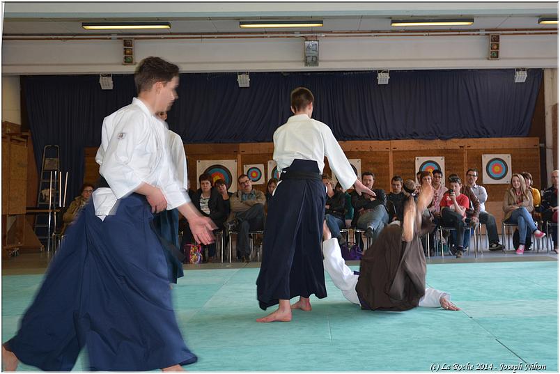 jujitsu (38)