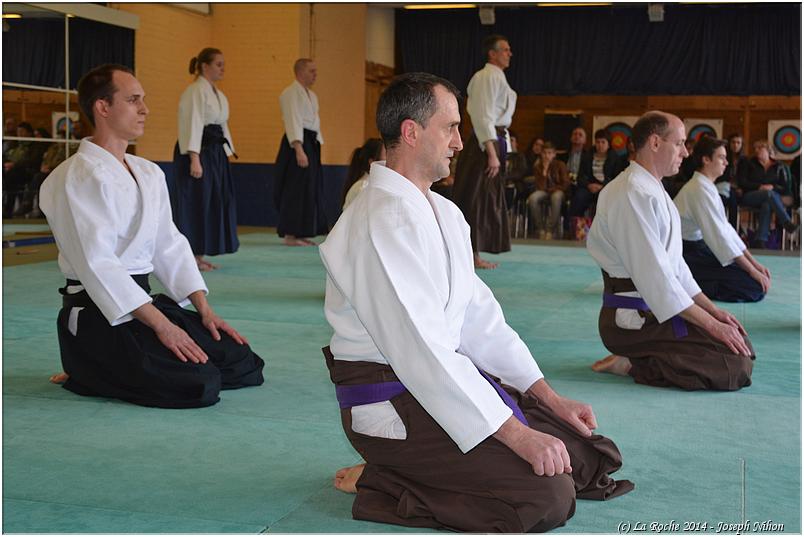 jujitsu (43)